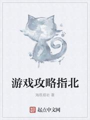 攻略指南