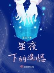 画册遗落星辰