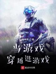 当游戏穿越到游戏