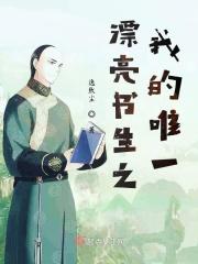 漂亮书生原著名
