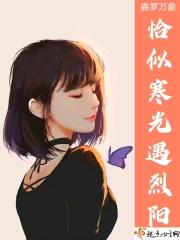 恰似寒光遇骄阳有声