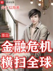 重生在次贷危机横扫全球前无错版