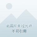 破茧之新生结局是什么