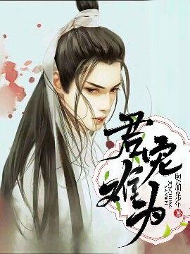 君宠难为讲的什么