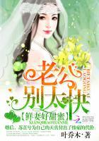 老公别太暖全文免费阅读