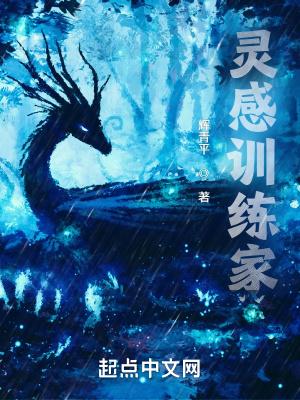 精灵之顶级训练家