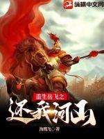 重生之我是岳飞