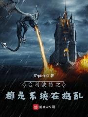 哈利波特之系统类