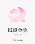 纸贵金迷的大结局是什么