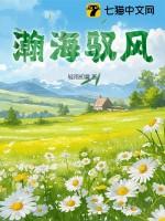 瀚海套装