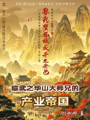 剑出华山怎么样