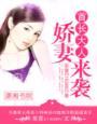 暖妻来袭免费阅读全文