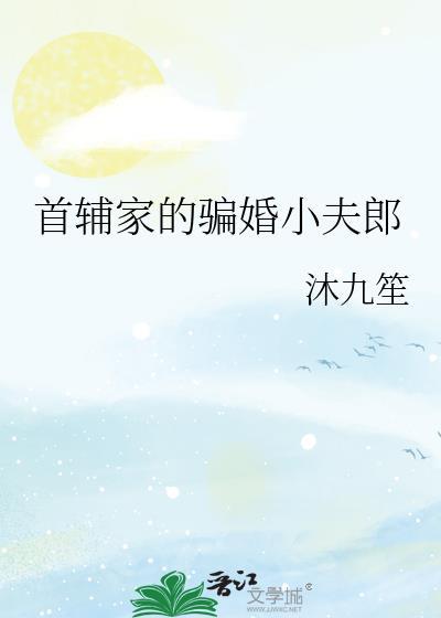 首辅家的小夫郎(女尊)