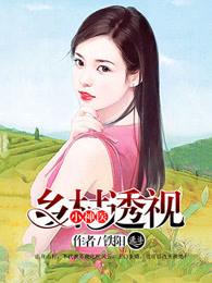 乡村透视小神医完本