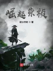 崛起崇祯费TXT