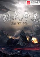 武极100级拳套哪个好