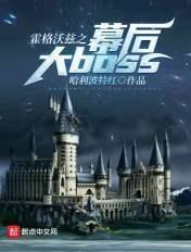 霍格沃兹之幕后大boss番外