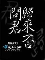 问君归期何时归
