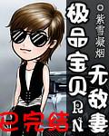 极品宝贝无敌妻简介