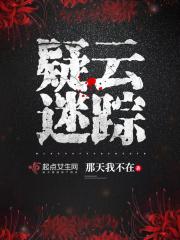 疑云迷踪短剧1到100集